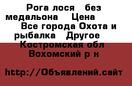 Рога лося , без медальона. › Цена ­ 15 000 - Все города Охота и рыбалка » Другое   . Костромская обл.,Вохомский р-н